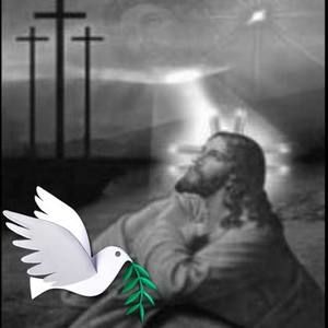 Meet your Posher, Marilynn